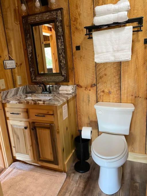 The Llaguna Lodge - New Cabin, Sleeps 10, Fire Pit, Hot Tub, In Blue Ridge , Ga Exterior photo